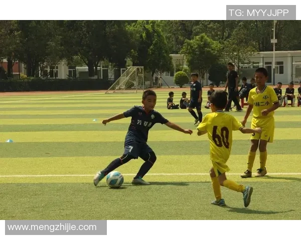 中国小学生足球赛决赛场面堪比职业赛